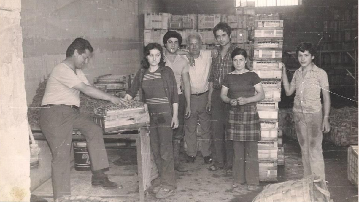 La Fiorita Fratelli Sorrentino