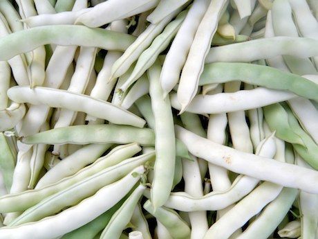 Fagioli bianchi Rotonda DOP