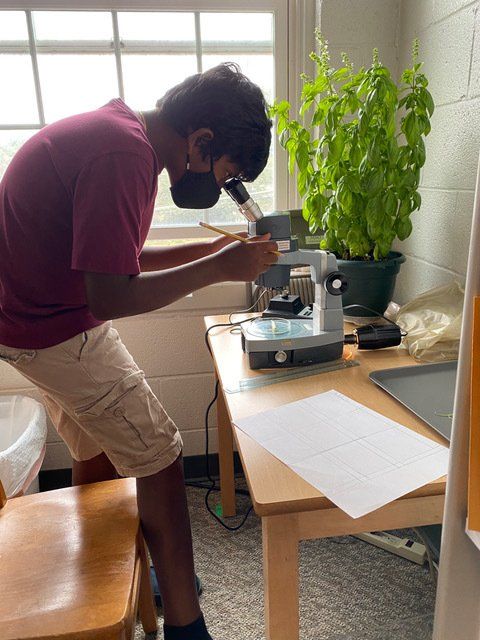 Montessori child looking through a microscope in a classroom.