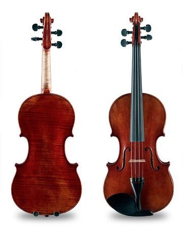 Violin Instrument