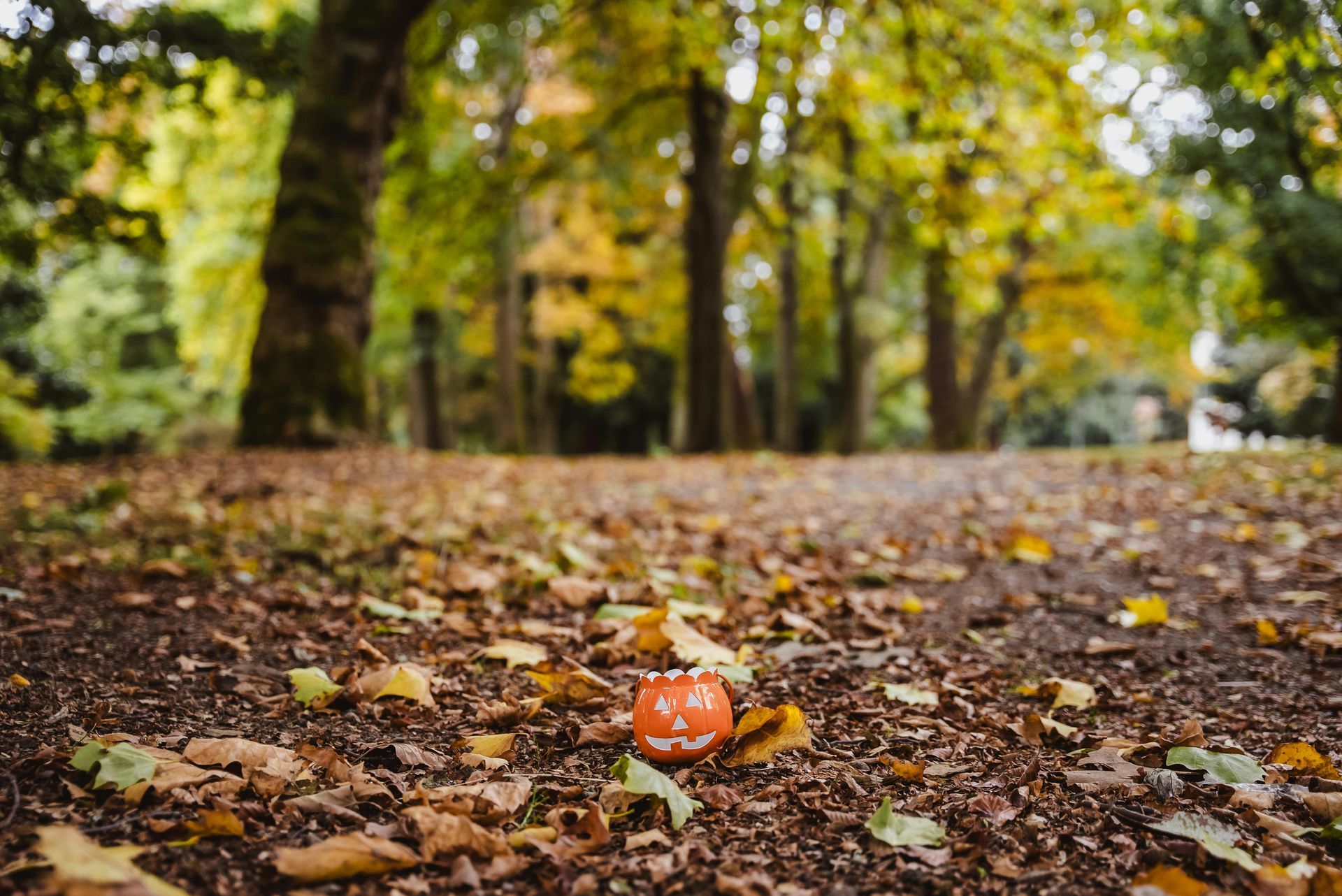 A pumpkin is sitting on the ground in the middle of a forest.