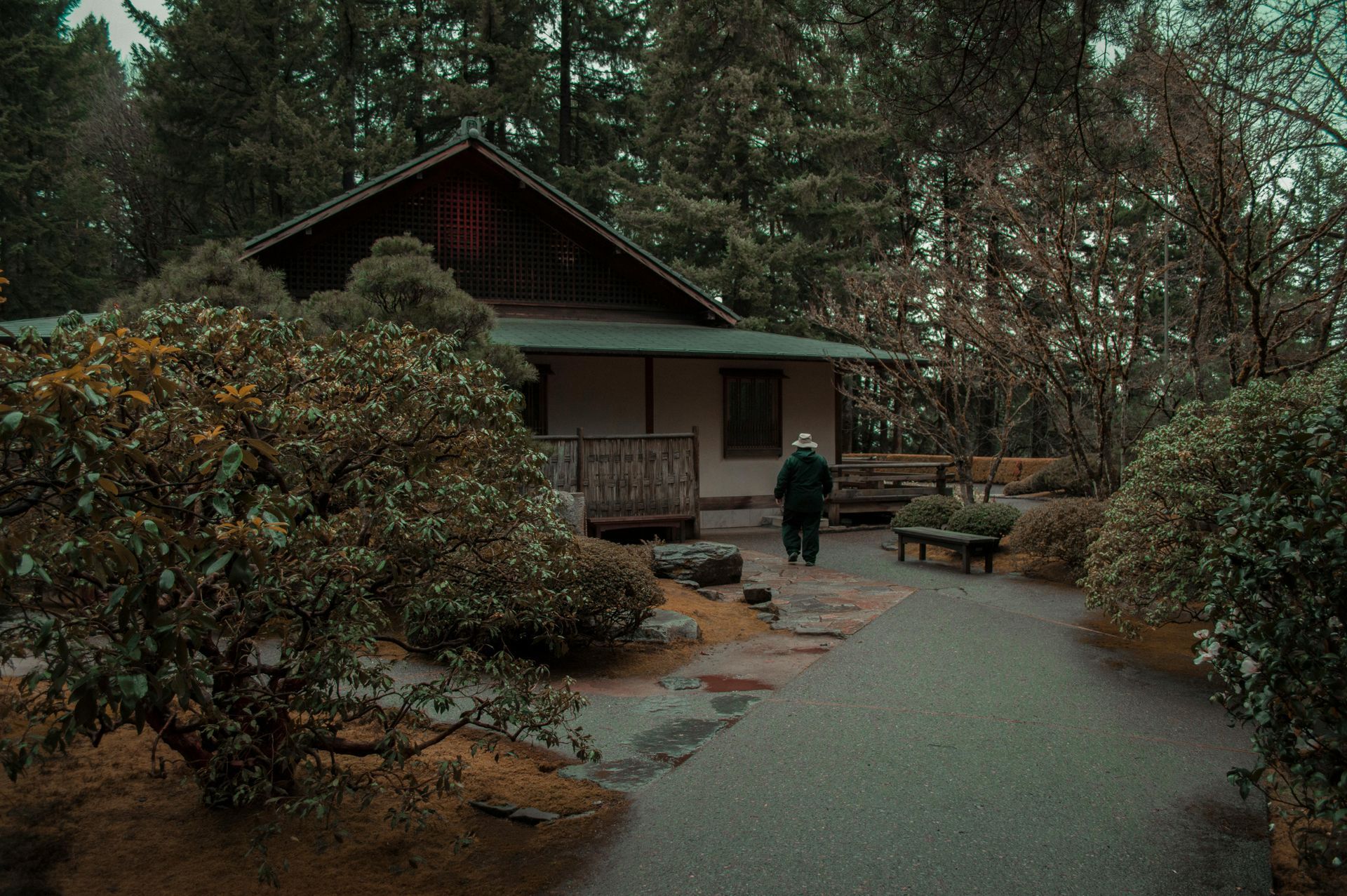 A man is walking towards a house in the woods.