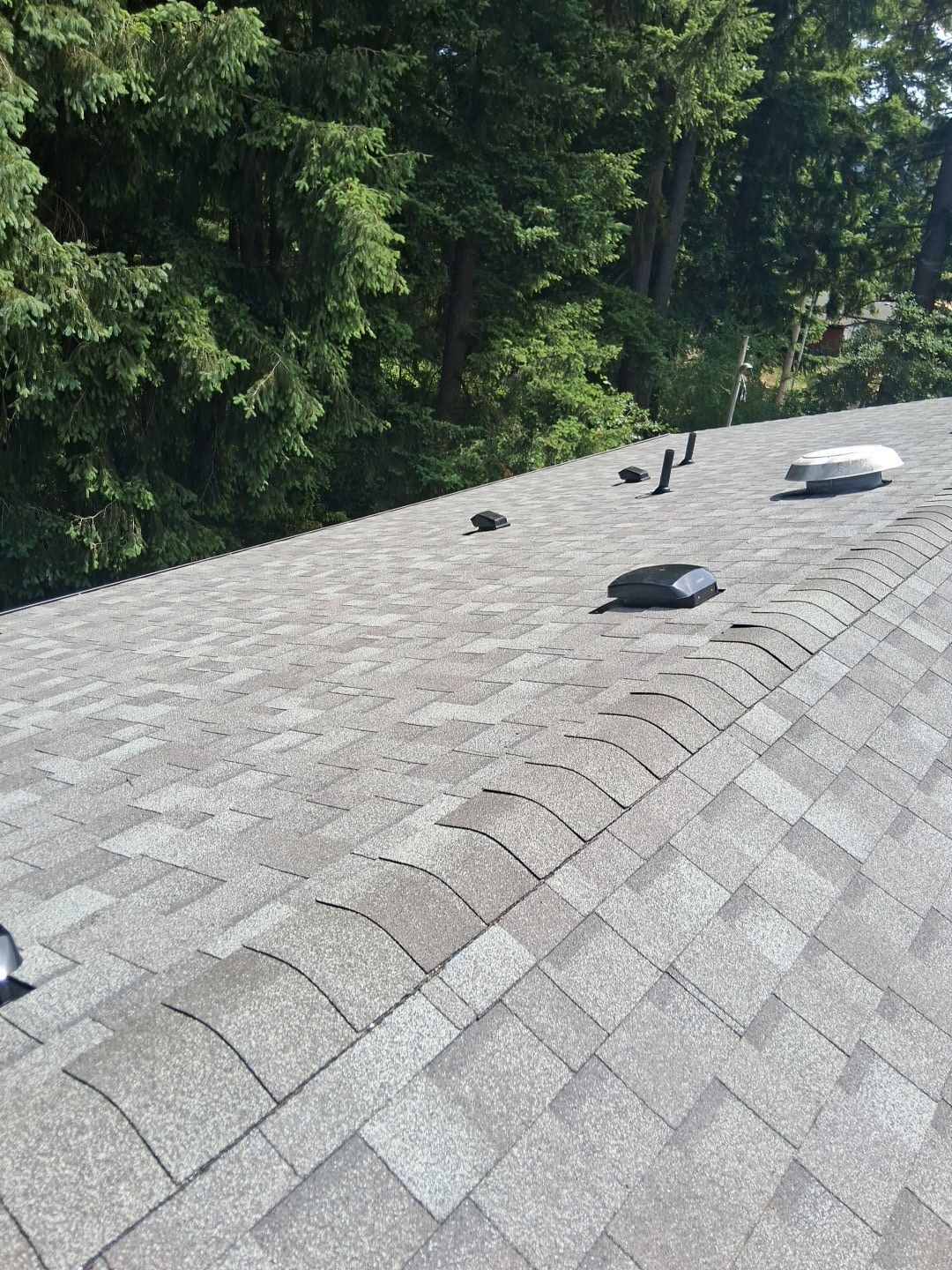A roof with a lot of shingles and trees in the background