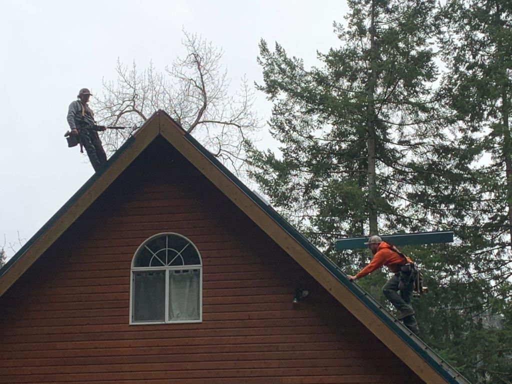 Roof repairs