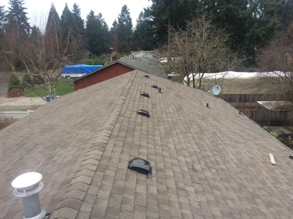 Shingle roof