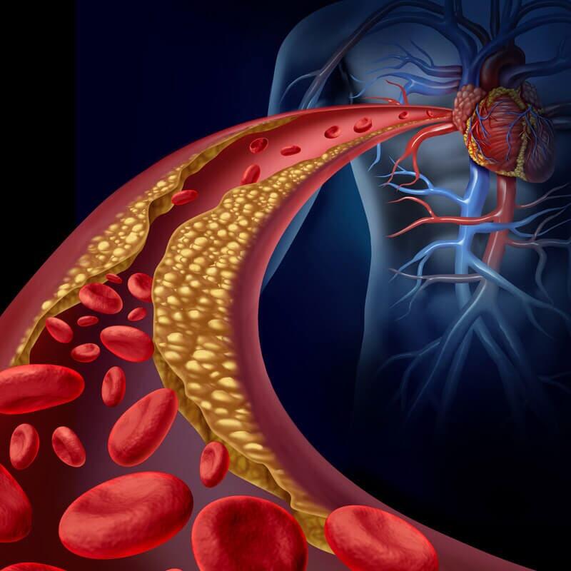  ZÚÑIGA CEBALLOS MARIO DR.