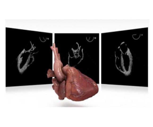 DR. MARIO ZÚÑIGA CEBALLOS