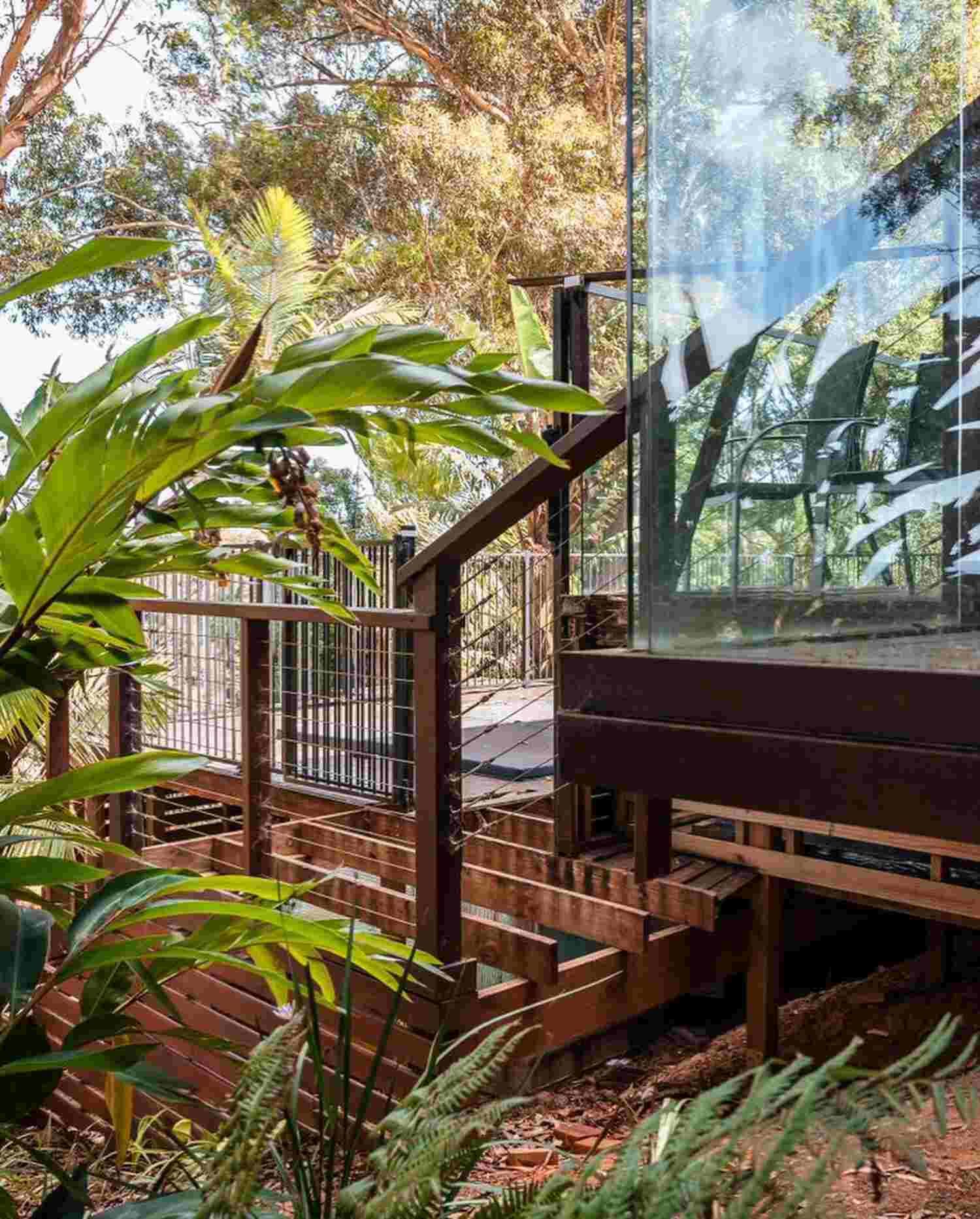 A Wooden Deck With Stairs Leading Up To It Surrounded By Trees And Plants — Sedah Home Improvements In Port Macquarie, NSW