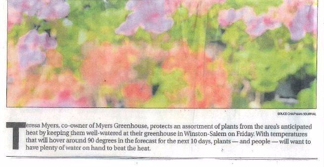 Myers Greenhouse article