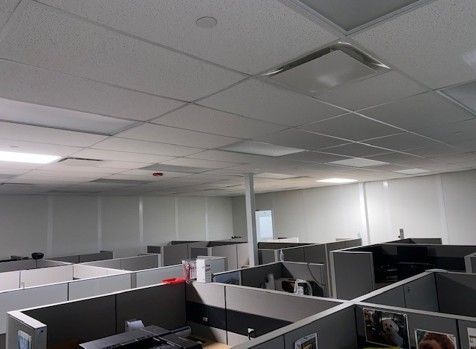 Office cubicles under a suspended ceiling with overhead lighting.