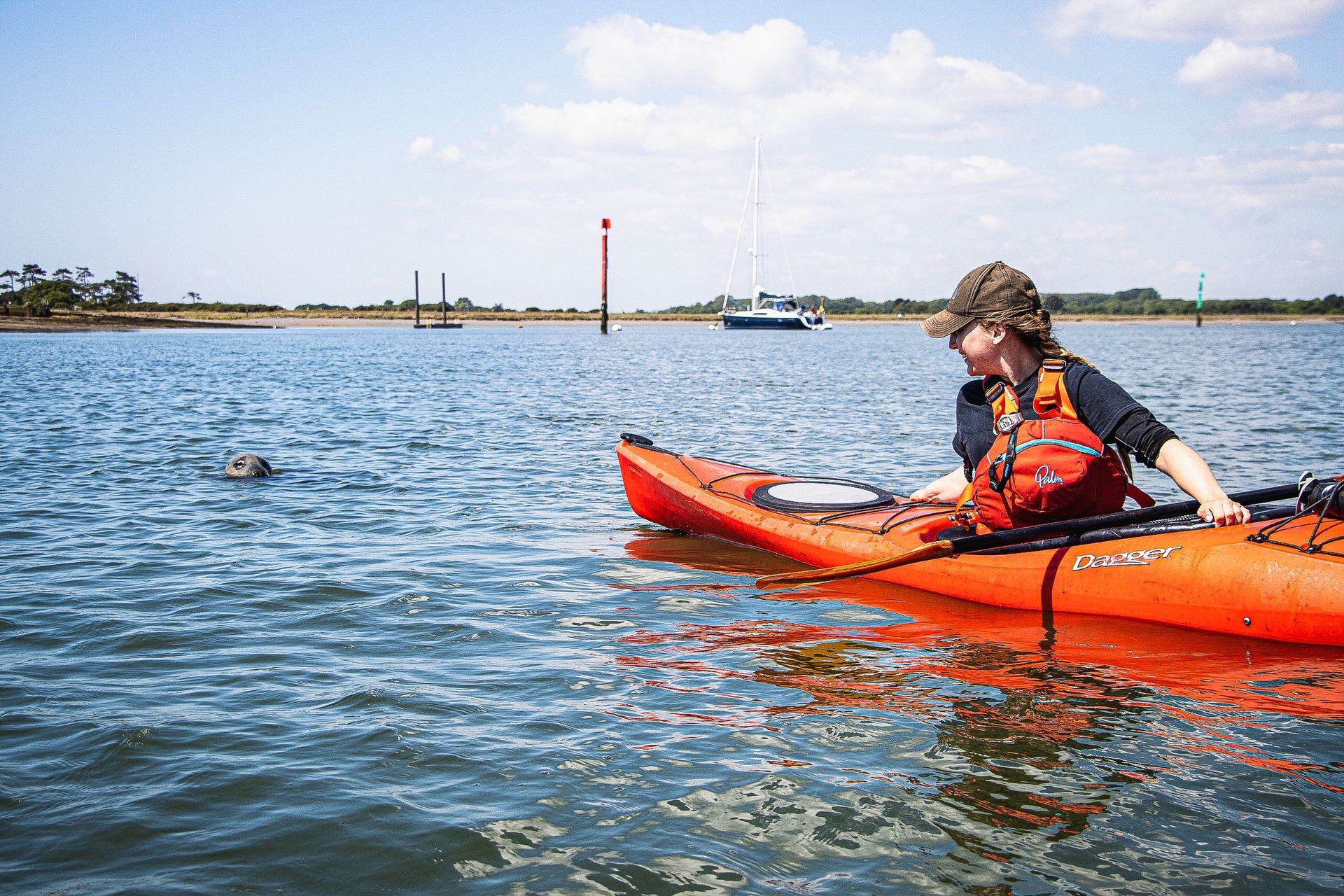 Woman in orange kayak on water, facing a seal. Sunny day, blue water, boat in background.