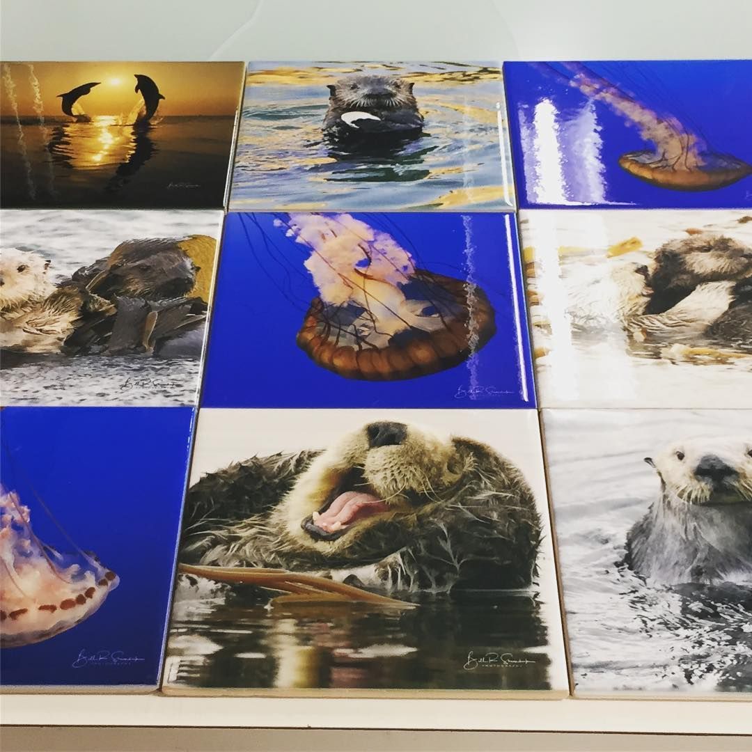 A display of otters on blue and white tiles
