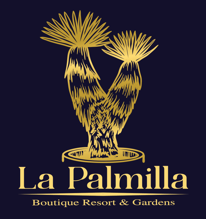 Book Now, La Palmilla Boutique Resort & Gardens