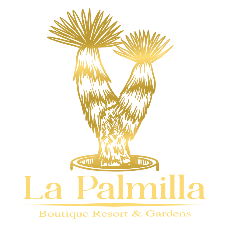 Book Now, La Palmilla Boutique Resort & Gardens