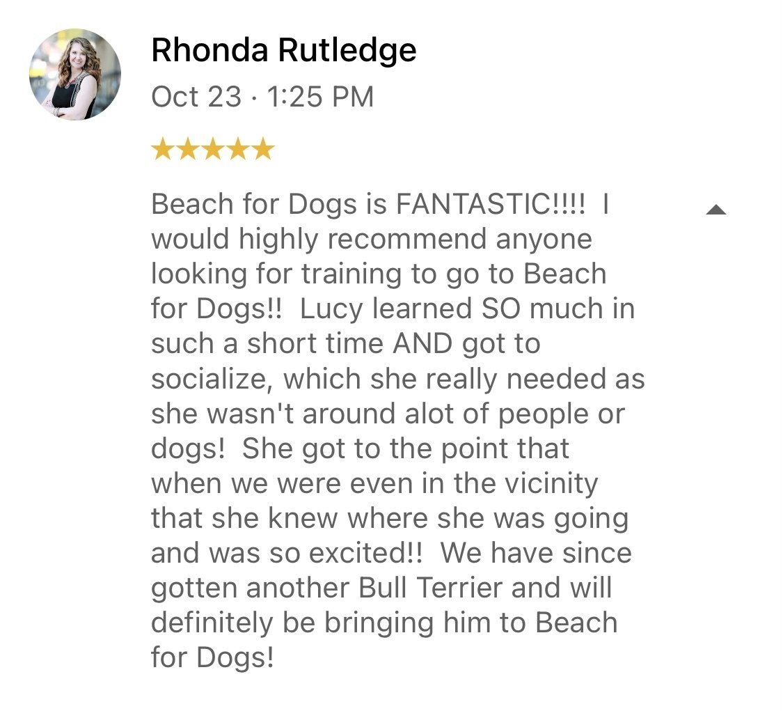 A woman is giving a review of a beach for dogs.