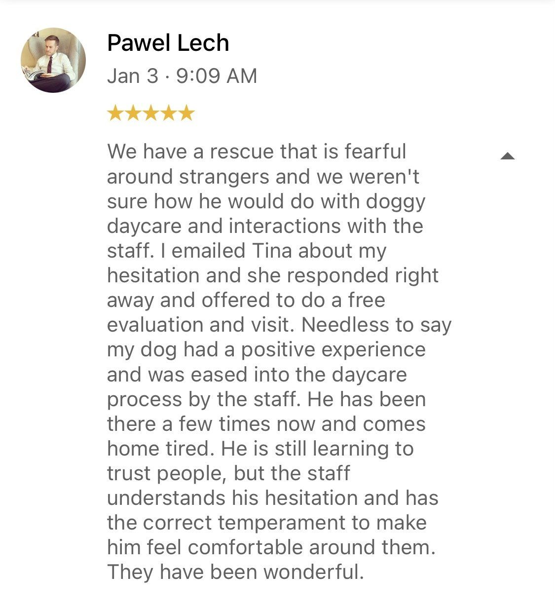 A review of a dog daycare by pawel lech