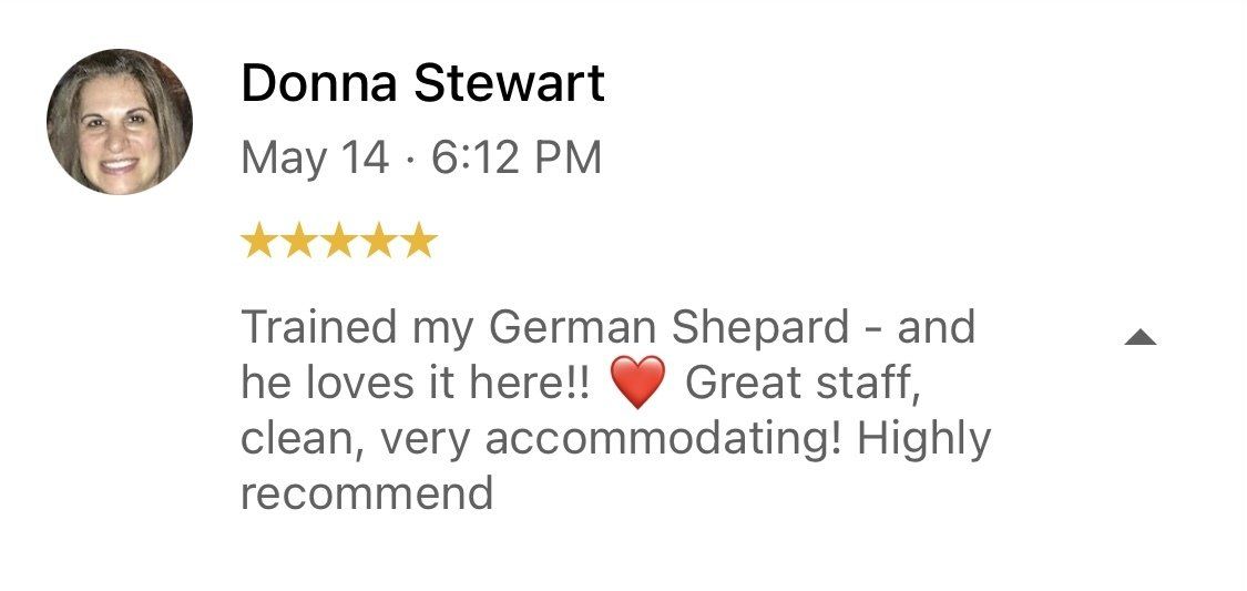 A woman is giving a review of a german shepard.