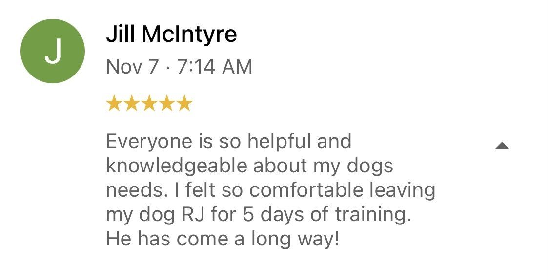 A review from jill mcintyre says everyone is so helpful and knowledgeable about my dogs needs.