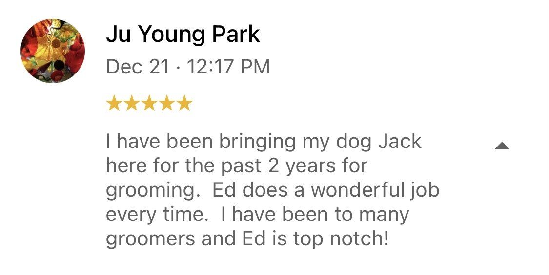 A person is giving a review of a dog groomer.
