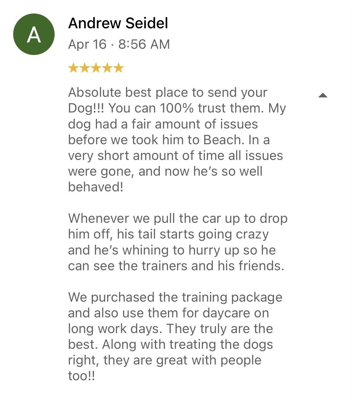 A review of a dog training package from andrew seidel