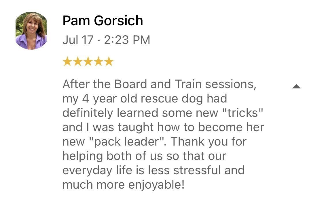 A woman is giving a review of the board and train sessions for her 4 year old rescue dog.