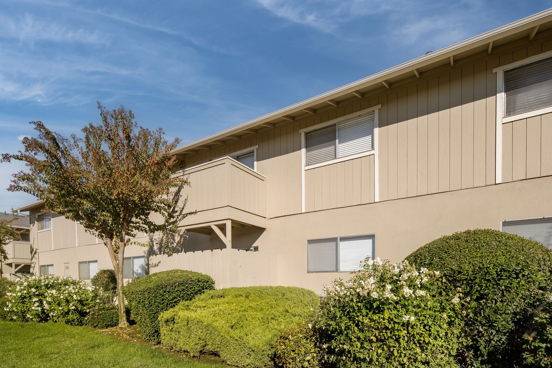 Tan apartment building with windows and green bushes. Blue sky in background.