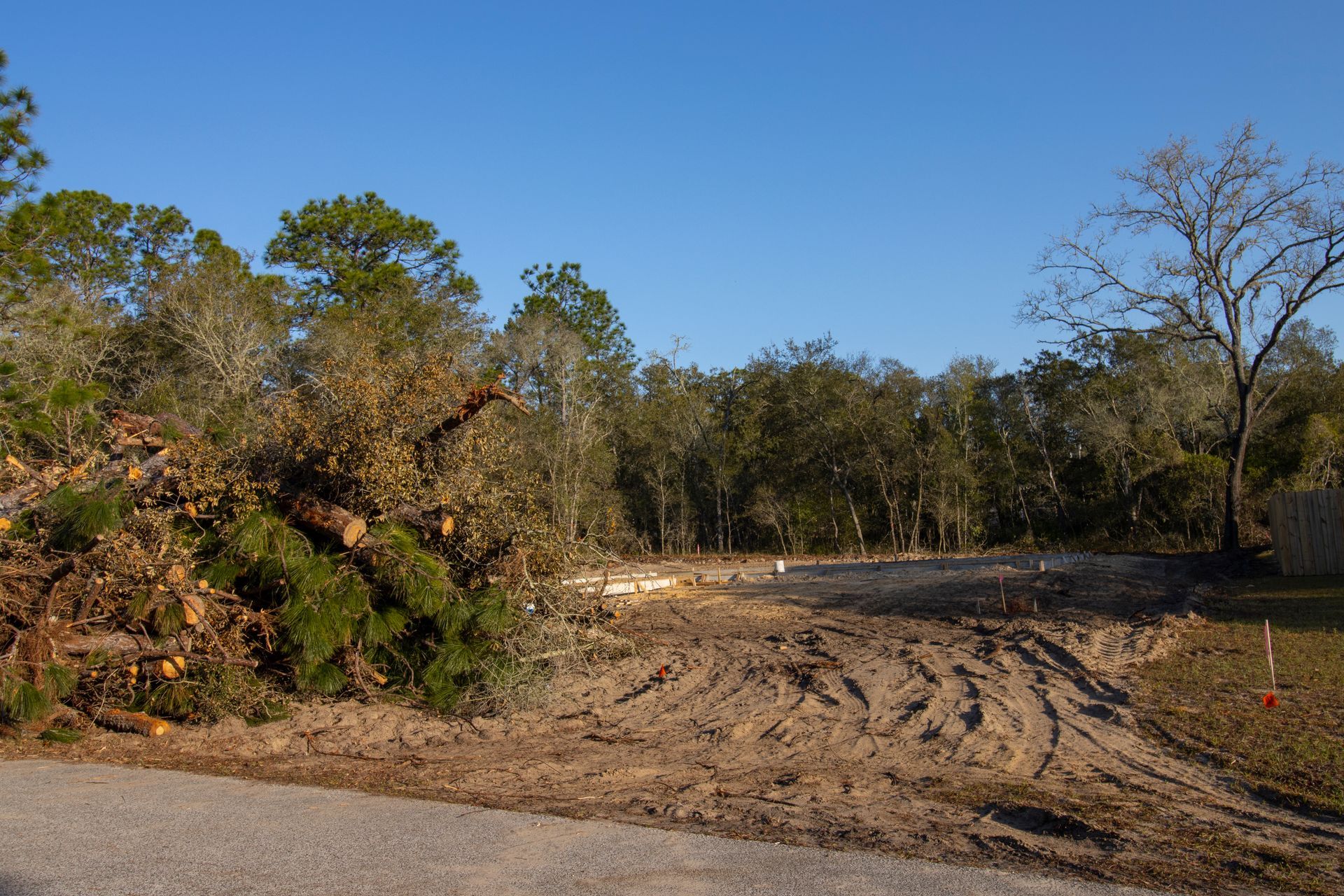 Cleared land with tire tracks, trees in the background, and debris pile on the left, under a blue sky. Cleared land with tire tracks, trees in the background, and debris pile on the left, under a blue sky.