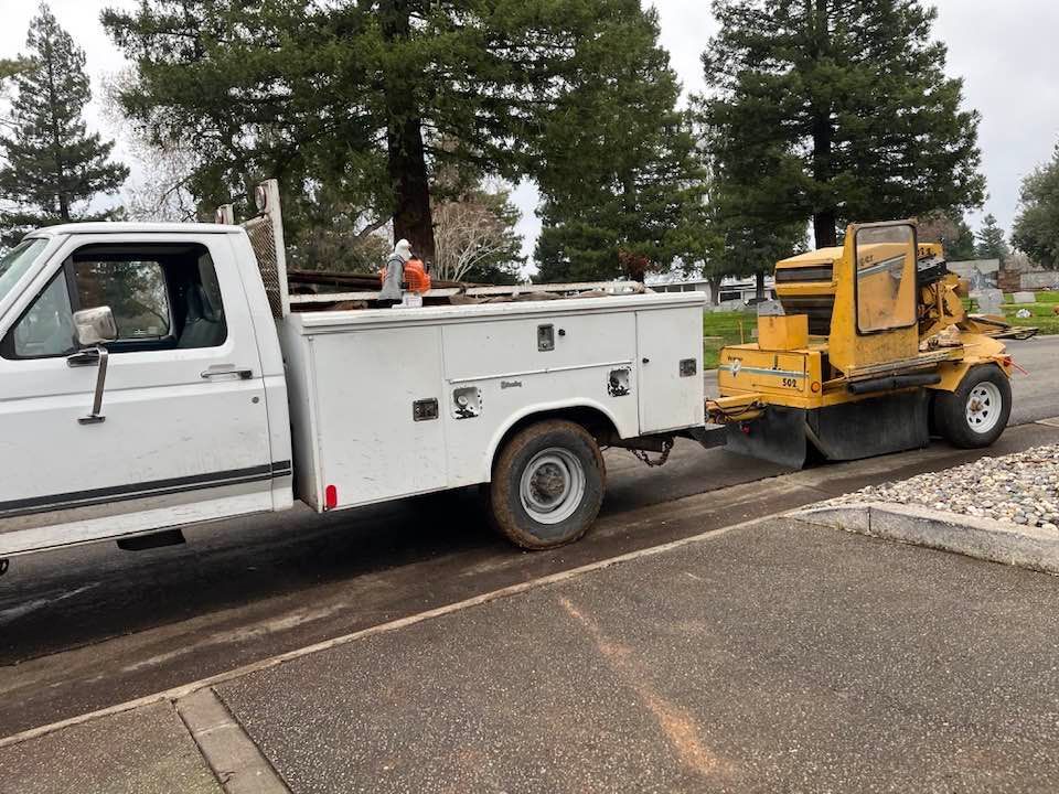 White truck towing a yellow stump grinder on a paved road. Trees in the background.