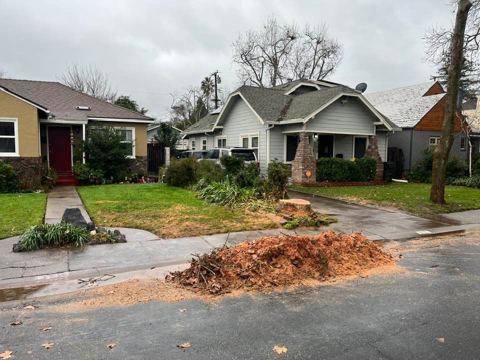 Houses on a residential street; tree stump and debris in front of a house, overcast day.
