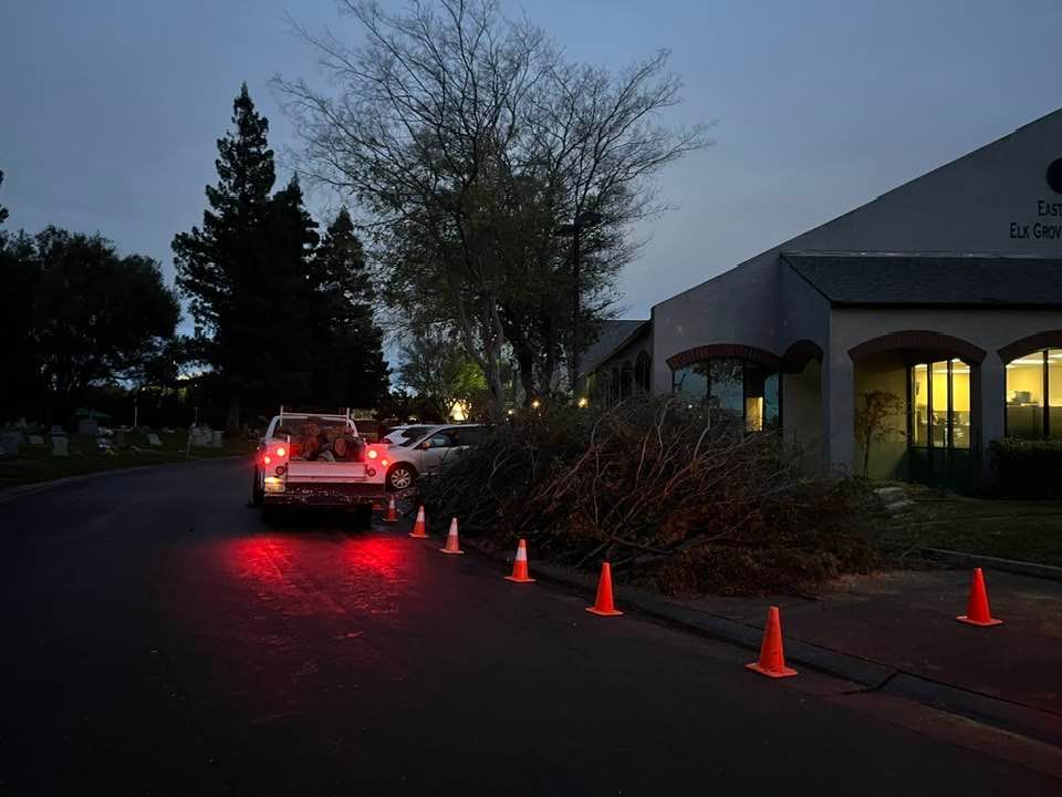 A truck parked on a street at dusk, loaded with branches, orange cones line the road.