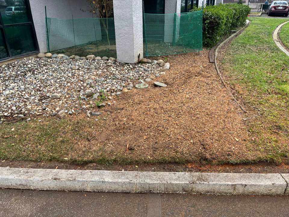 Wood chips and rocks border a building's foundation and grass, next to a sidewalk and curb.