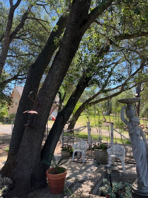 Large trees shade a garden with white chairs, statues, and a bird feeder.
