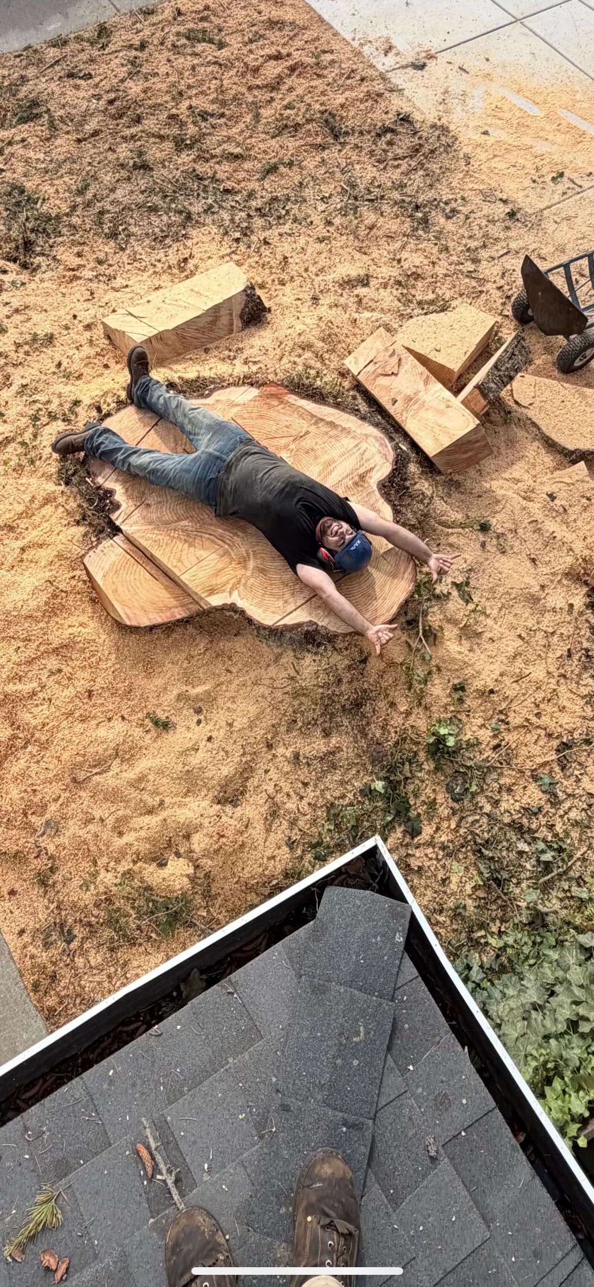 Person lying on tree stump, surrounded by wood chips, near a roof.