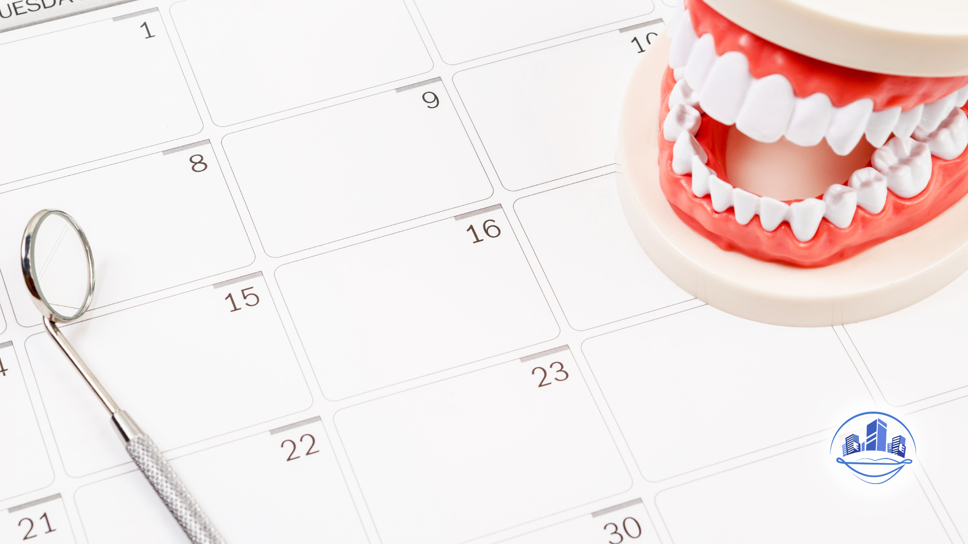 Calendar and dental model with dental mirror, representing appointment booking.