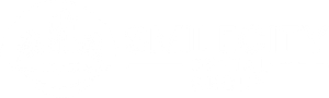 A white background with a few lines on it