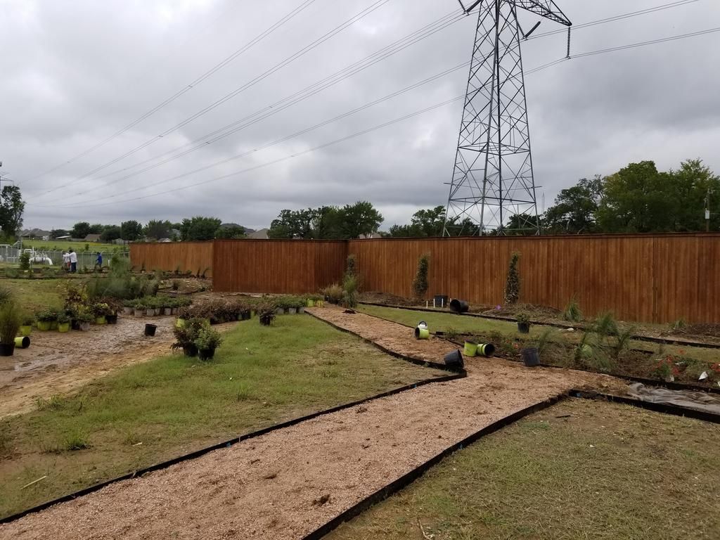 A wooden fence surrounds a garden with a power line in the background.