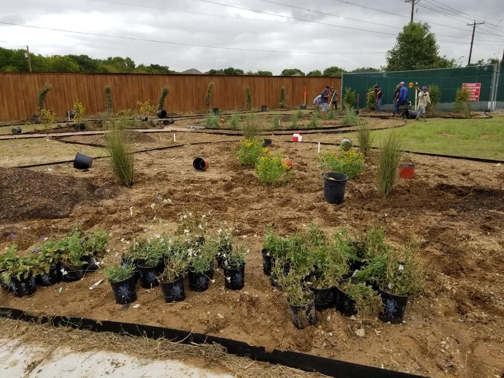 A bunch of potted plants are sitting in the dirt in a garden.