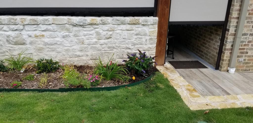 There is a brick wall in the background and a lawn in front of it.