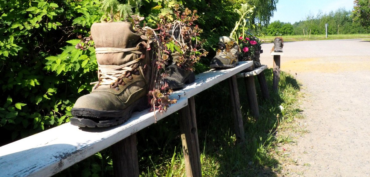 Shoes filled with plants.