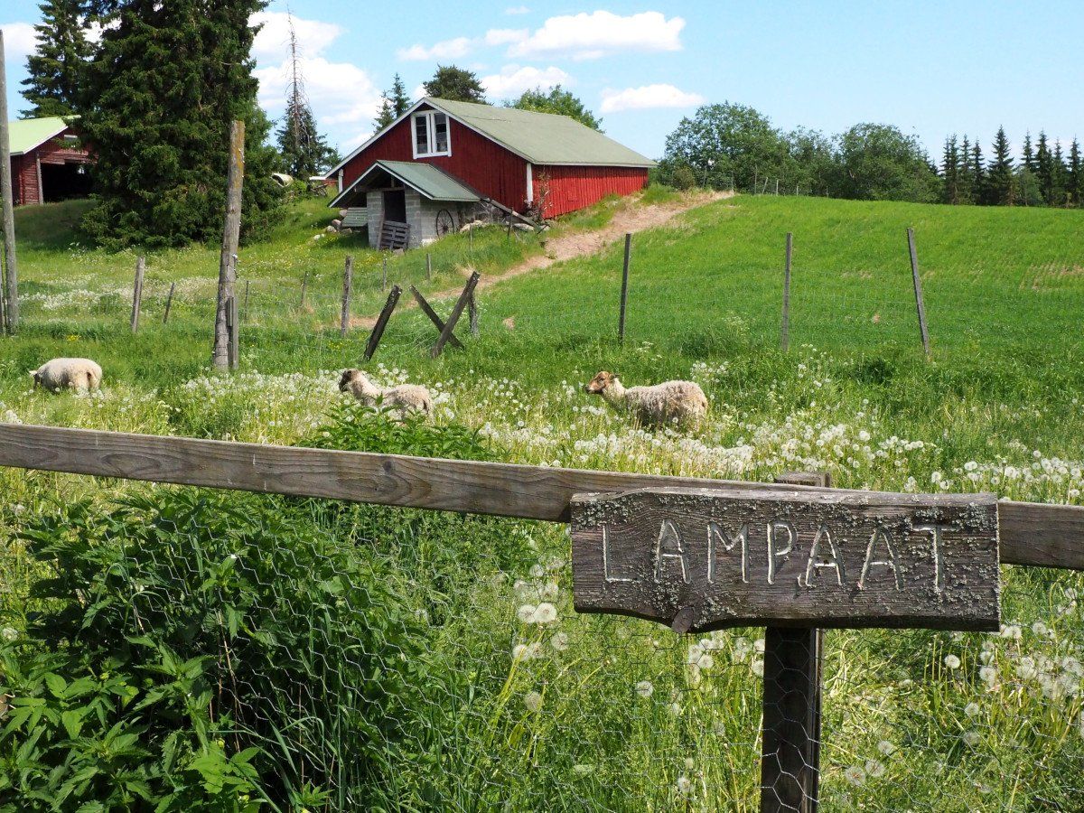 Sustainable travel in the Finnish countryside.
