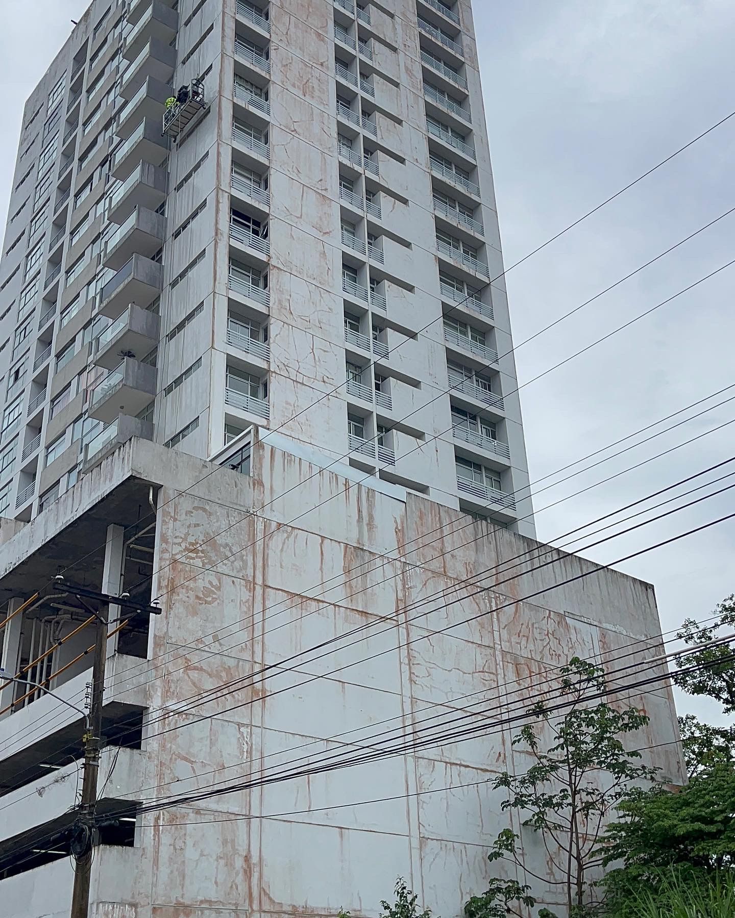 Pinturas y Servicios Caballero