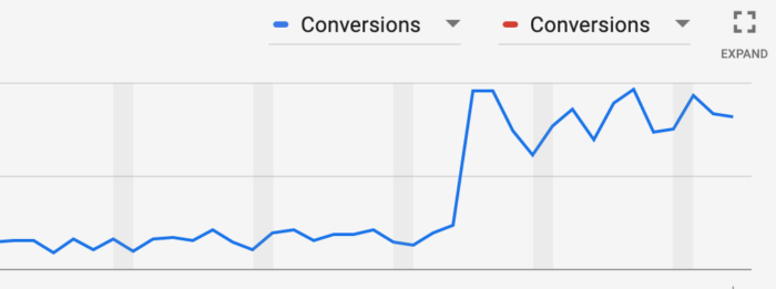 A graph showing the number of conversions on a website.