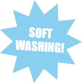 Soft Washing
