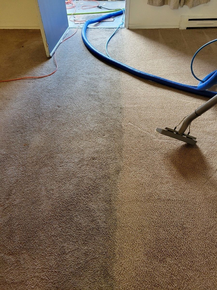 A vacuum cleaner is cleaning a carpet in a room.
