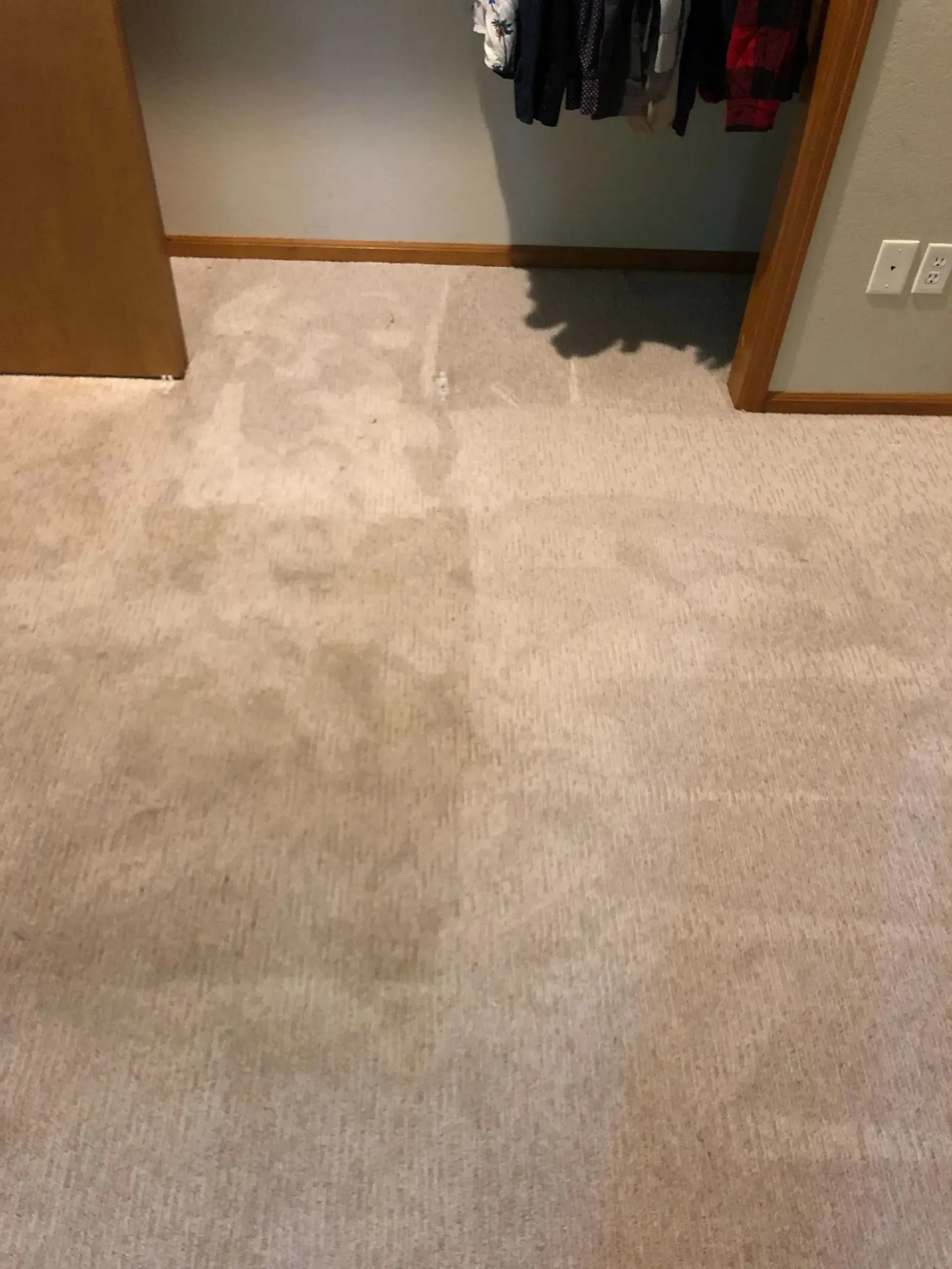 A carpeted floor in a closet with clothes hanging on the wall.