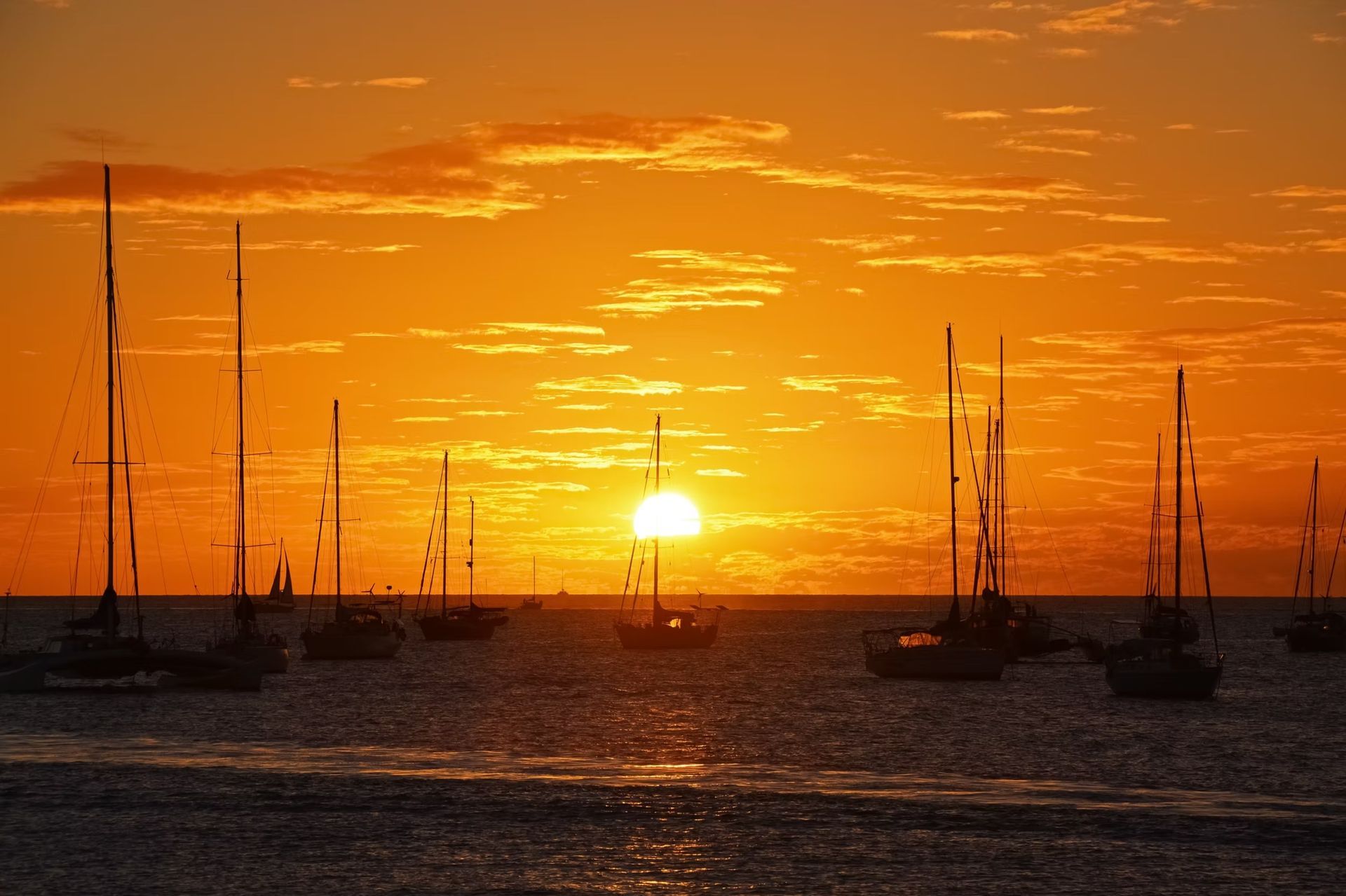 Silhouettes of several sailboats bobbing on the water against a vibrant, bright orange sunset sky.