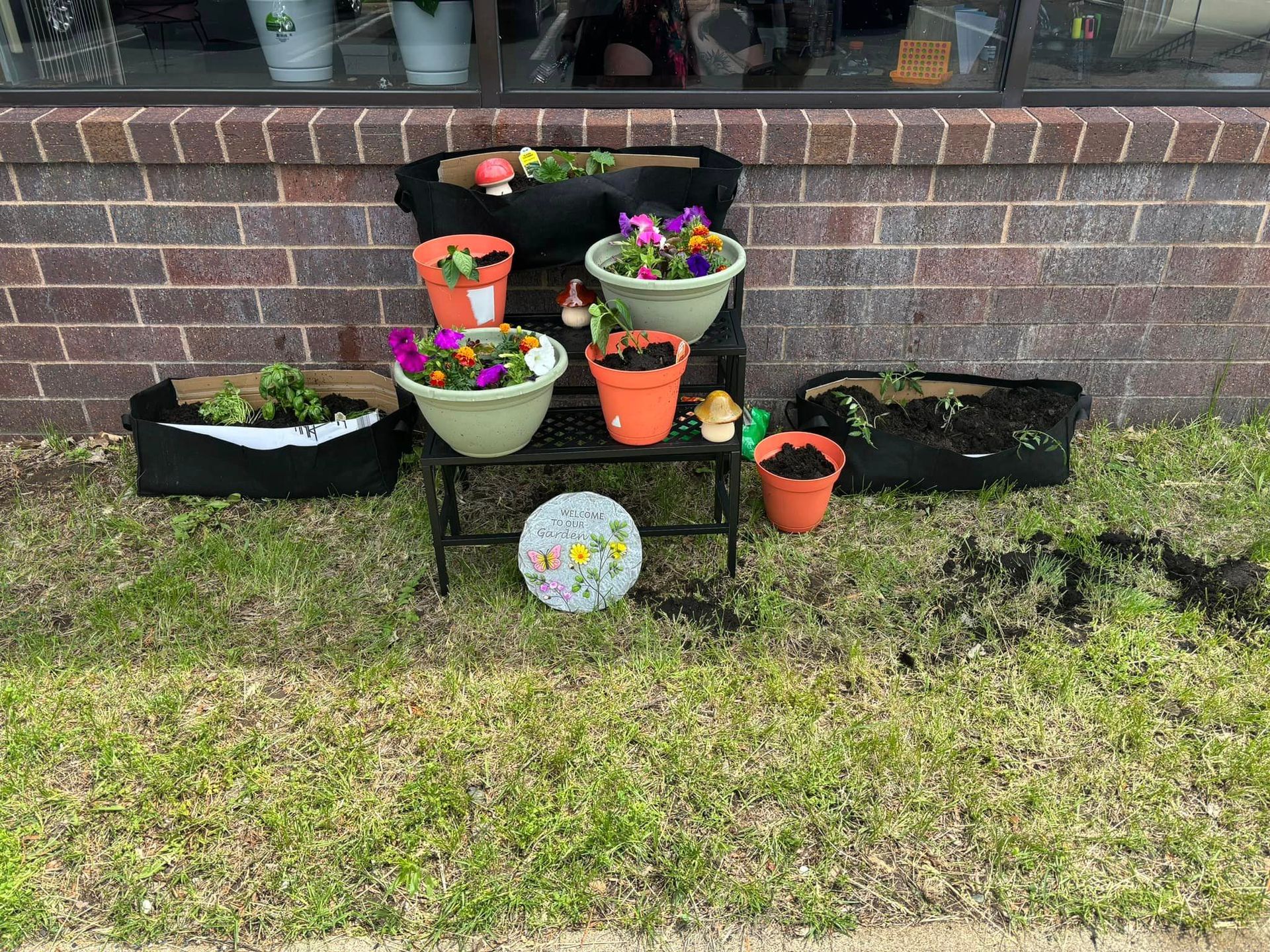 Potted flowers in various colors on a black metal shelf and in fabric containers sit on grass in front of a brick wall.