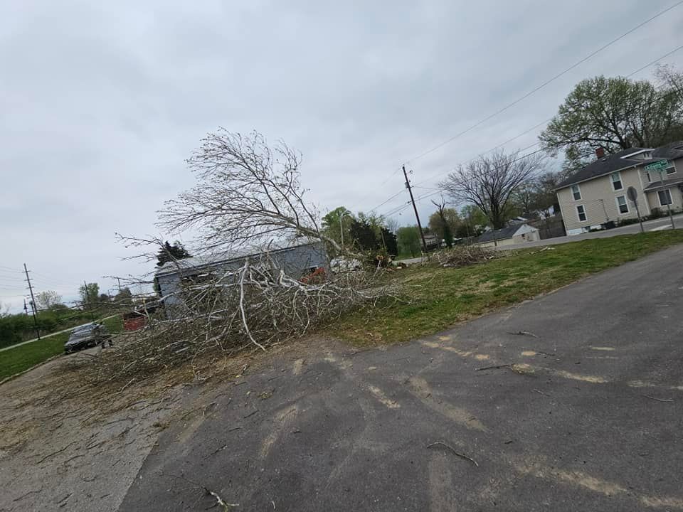 A tree is laying on the side of a road next to a house.