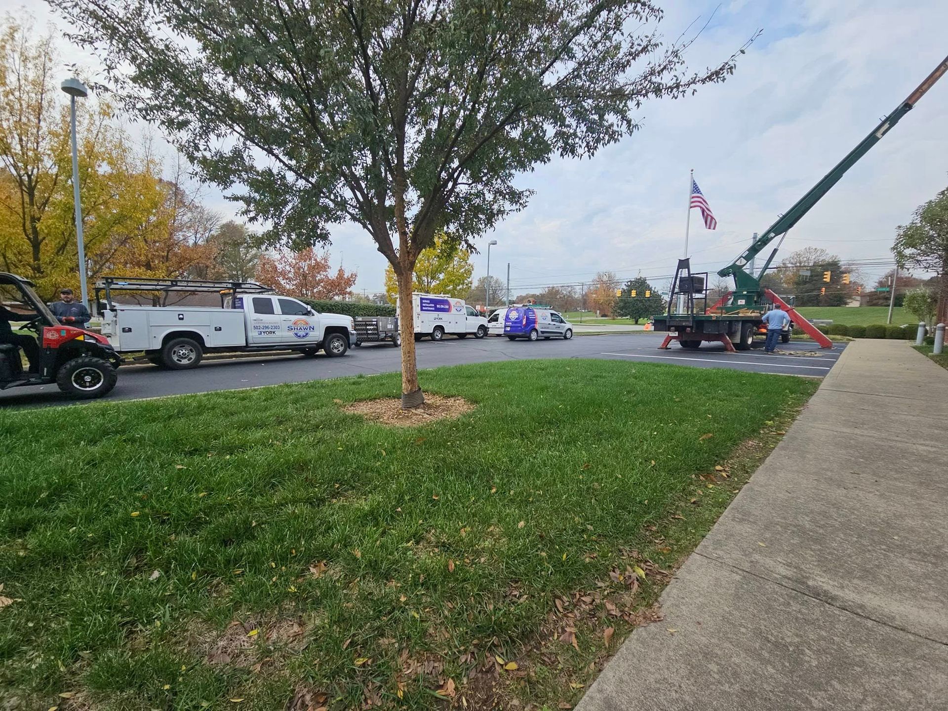 A group of trucks are parked in a parking lot next to a tree.