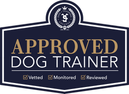 Approved Dog Trainer Bournemouth